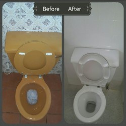 Colour Change Toilet